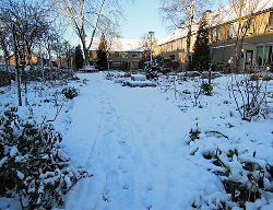 27 / 28 december 2014 eerste sneeuw in De
                          Voortuin Bennekom 