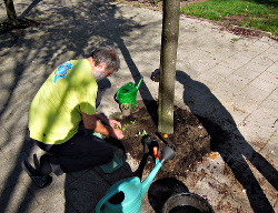 Burendag 27 september 2014 Voortuin
                          Bennekom