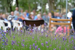 Concert Voortuin Bennekom 2019