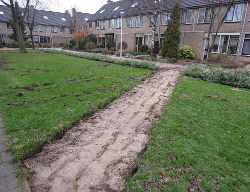 Foto start van de
                              Voortuin 1