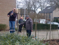 Voortuin Feb 2014