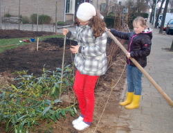 Voortuin Feb 2014