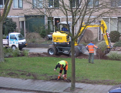 Voortuin Feb 2014