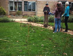 Foto start van de Voortuin 6