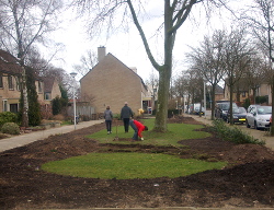 Voortuin Feb 2014