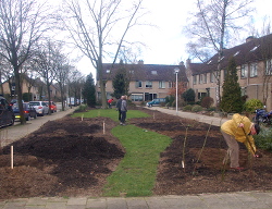 Voortuin Feb 2014