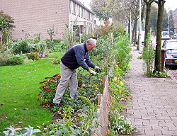 Herfst 2014 Voortuin Bennekom