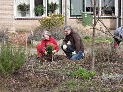 Lente2017VoortuinBennekom