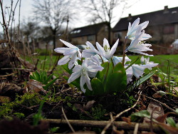 Lente2017VoortuinBennekom