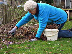 Lente2017VoortuinBennekom