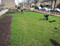 Lineke is compost aan het inwerken op het
                          gras, en een fraai overzicht van de tuin