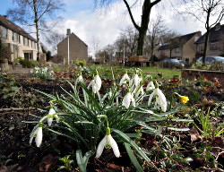 MaartApril2016 Voortuin Bennekom