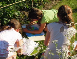 Mozaiektegels maken met de kinderen in De
                          Voortuin Bennekom juni 2015