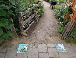 Mozaiektegels maken met de kinderen in De
                          Voortuin Bennekom juni 2015