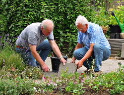 Mozaiektegels maken met de kinderen in De
                          Voortuin Bennekom juni 2015