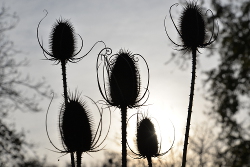 Najaar 2018 in De Voortuin Bennekom