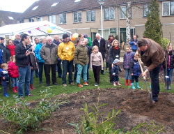 Wethouder vd Weerd plant de Prunus-boom
                          samen met een jongetje uit de buurt