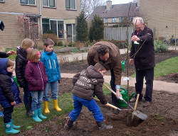 Wethouder vd Weerd plant de Prunus-boom
                          samen met een jongetje uit de buurt