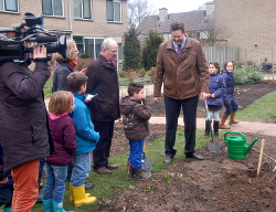 Wethouder vd Weerd plant de Prunus-boom
                          samen met een jongetje uit de buurt