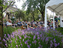 Tuinconcert Voortuin Bennekom 9 juni
                          2018