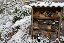 Sneeuw Voortuin Bennkom 1 april 2022