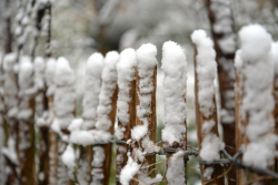 Sneeuw Voortuin Bennekom 1 april 2022