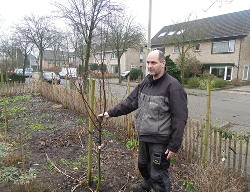 Hoogstambrigade in Voortuin Bennekom voor
                          eerste snoei en uitleg