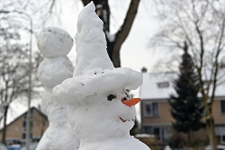 Winterpret12feb2017 VoortuinBennekom